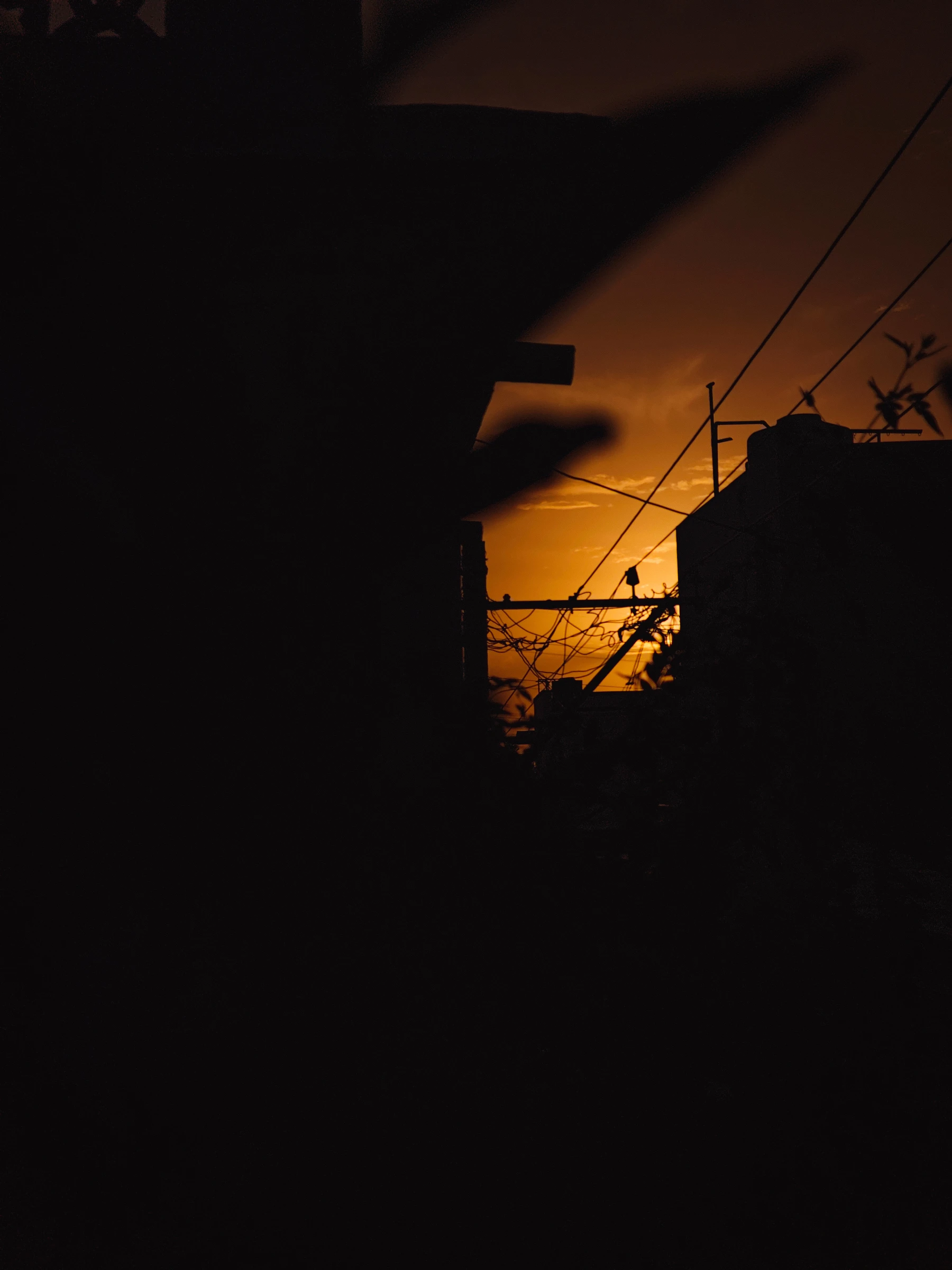 Photograph from the Aesthetic collection